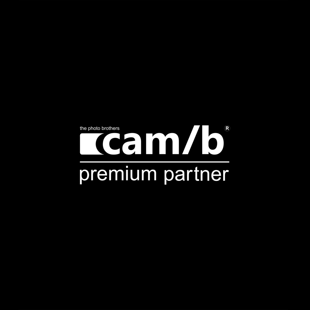 Logo cam/b Premium Partner