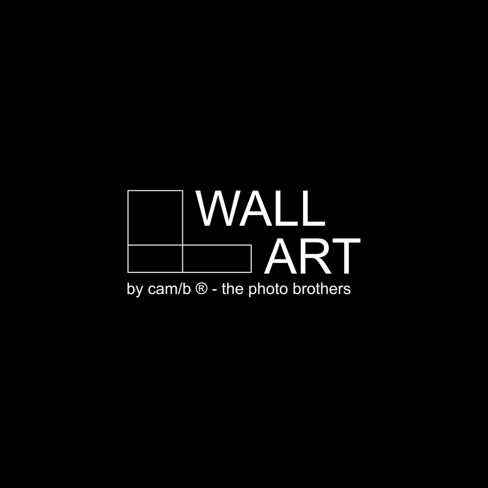Logo cam/b WALL ART